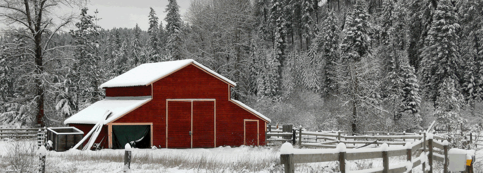 Our Family Insuring Yours Paul Hall &amp; Associates