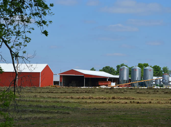 Rau Jersey Farms